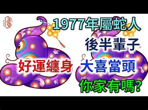 1977生肖蛇|關於1977年「生肖屬蛇人」，這一生命運如何？